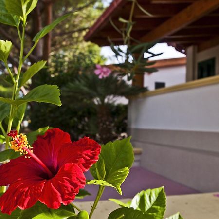 Green Park Village Vieste Exterior foto